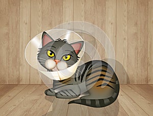 Illustration of neutered cat
