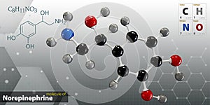 Illustration of Norepinephrine Molecule isolated gray background