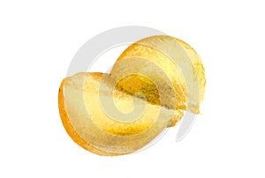Illustration of a onion drawn on a white background.