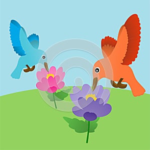 Illustration of Orange and Blue Bird and Pink and Purple Flower Cartoon, Cute Funny Character, Flat Design