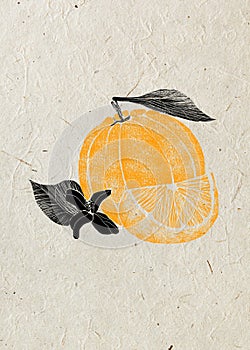 Illustration of orange fruit with flower, leaf, slice on beige rice paper background.