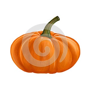 Illustration with orange pumpkin isolated