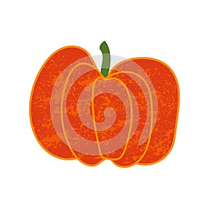 Illustration of orange pumpkin vegetable isotated on white background. illustration with textures.