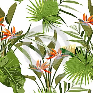 Illustration with orange strelitzia exotic flowers. Beautiful seamless background with tropical plants on white.