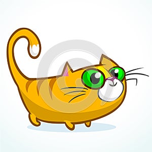 Illustration of an orange striped cat with big eyes sitting and smiling. Cute kitty vector logo