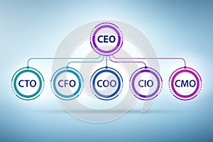 Illustration of organisation chart with various executives