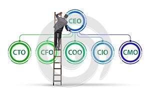 Illustration of organisation chart with various executives