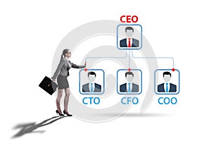 Illustration of organisation chart with various executives