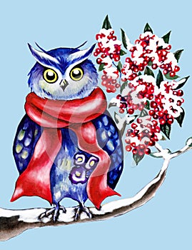 Illustration of an owl in anticipation of spring