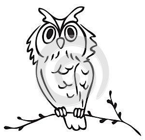 Illustration owl on tree branch