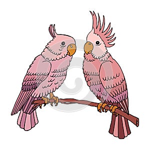 Illustration, painted colorful parrot birds in beige and pink shades on a tree branch. A couple of parrots. Print, textile