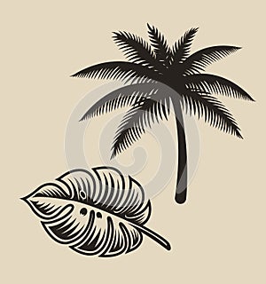 Illustration of palm tree and monstera leaf