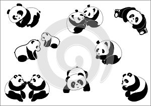 Illustration panda photo