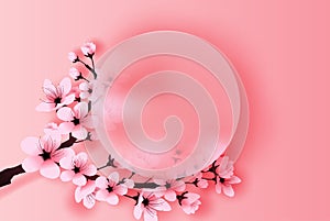 Illustration of paper art and craft circle border spring season cherry blossom concept,Springtime with sakura branch, Floral