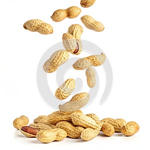 Falling peanuts isolated on white background