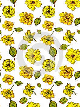 Illustration with pencil drawn roses. Spring-summer theme. Seamless pattern.