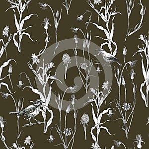 Illustration, pencil. A pattern of leaves and branches of plants, birds. Freehand drawing of flowers on brown background