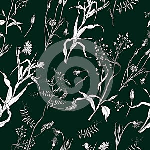 Illustration, pencil. A pattern of leaves and branches of plants, birds. Freehand drawing of flowers on a green background