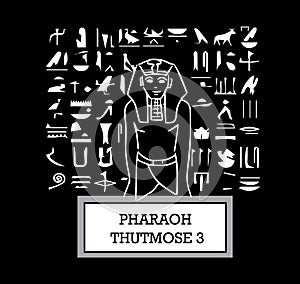 Illustration of Pharaoh Thutmose III