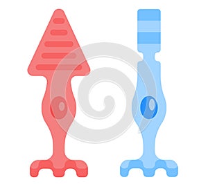 Illustration of Photoreceptor cells.
