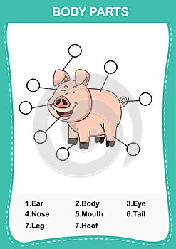 Illustration of pig vocabulary part of body