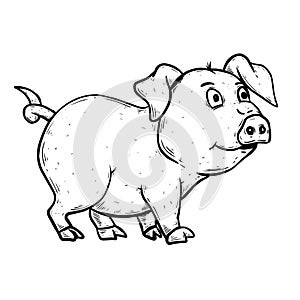 Illustration of pig on white