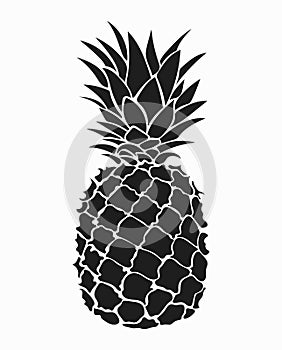 Illustration of pineapple. Black and white print of pineapple. Picture of an exotic fruit. Fresh vitamins.