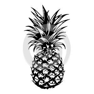 Illustration of pineapple in black and white style.