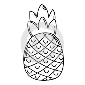 illustration of pineapple outline white on background