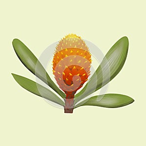 Illustration of pineapple tree isolated