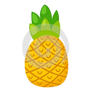 illustration of pineapple white on background