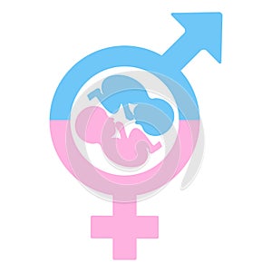 Illustration of pink and blue female and male gender symbols with newborns