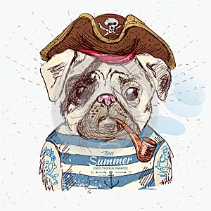 Illustration of pirate pug dog