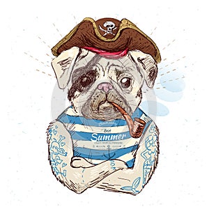 Illustration of pirate pug dog .on blue background in vector eps10