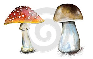 Illustration of a poisonous mushroom fly agaric close-up. red hat of fly-agaric with white spots. isolated on a white