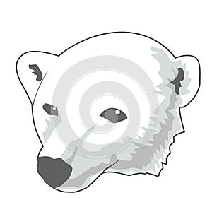 Illustration of polar bear animal wildlife