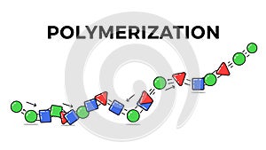 Illustration of the Polymerization Process