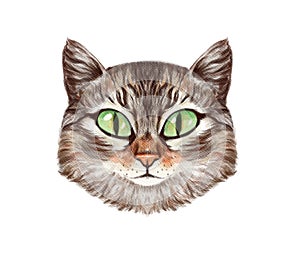 Illustration portrait of tabby cat with big green eyes looking straight. textured hand drawn drawing