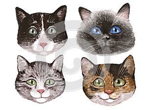 Illustration of portraits of cats, a set of different faces of cats. funny cute hand drawn drawings