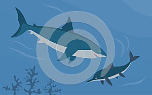 Illustration prehistoric underwater shark megalodon vs ichthyosaur