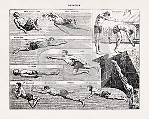 19th century illustration about swimming styles