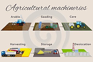 Illustration of the process growing and harvesting