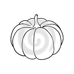 Illustration of a pumpkin in a hand drawn style.