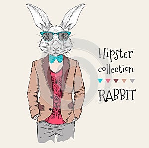 Illustration of rabbit hipster dressed up in jacket, pants and sweater. Vector illustration