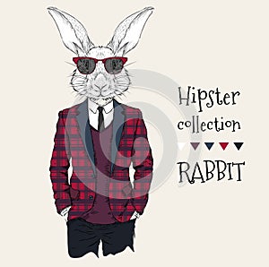 Illustration of rabbit hipster dressed up in jacket, pants and sweater. Vector illustration