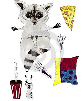 Illustration of a raccoon and different objects isolated on a white background
