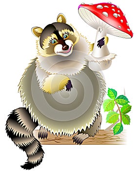 Illustration of raccoon holding mushroom.