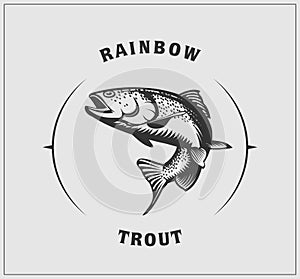 Illustration of rainbow trout.