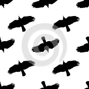 Illustration with raven in vector. Black and White seamless pattern