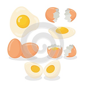 Illustration of raw egg, broken, boiled and fried egg